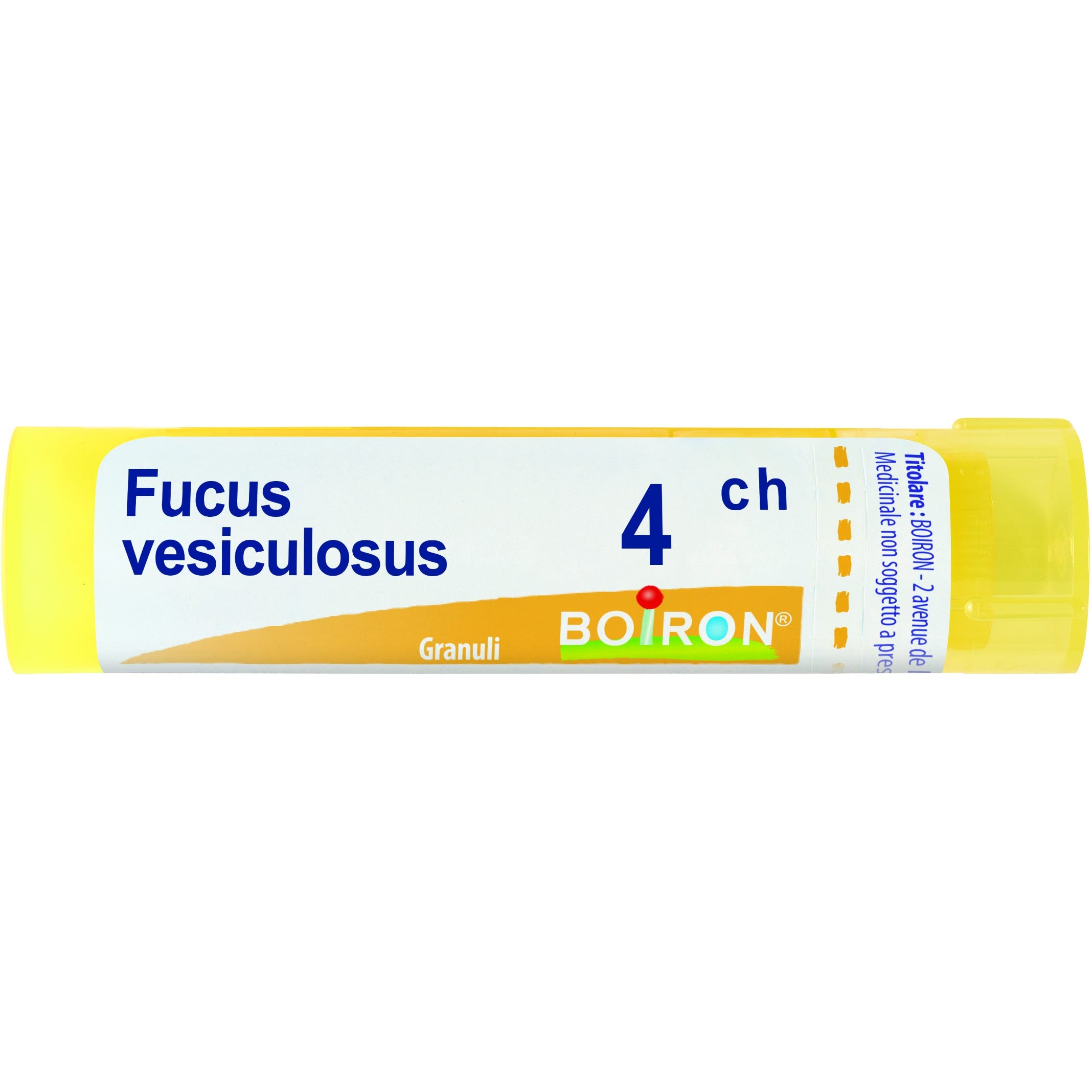 Boiron Fucus Vesiculosus Granuli 04Ch Tubo 4g-1