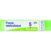 Boiron Fucus Vesiculosus 05Ch Tubo Granuli 4g-1