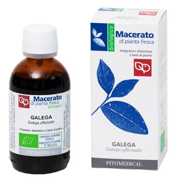 Fitomedical Galega Tintura Madre Bio 50ml-1