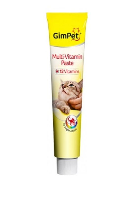 GIMCAT PASTA MULTIVIT PROF 20G-1