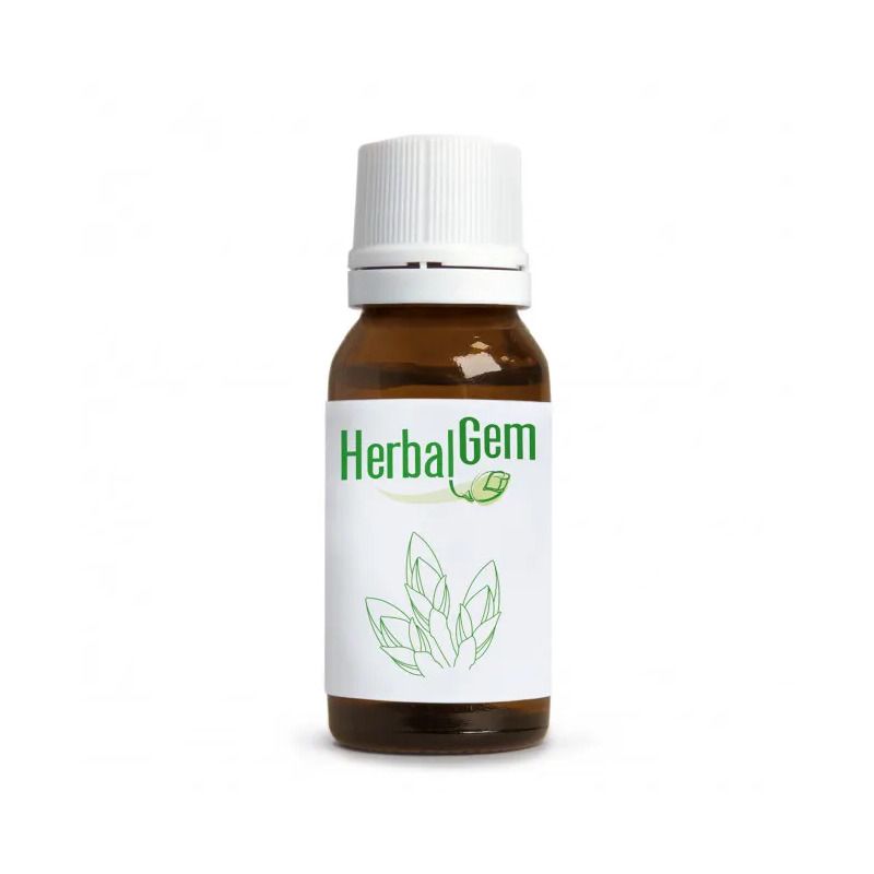 Herbalgem Fum Bio Vie Respiratorie 250ml-1