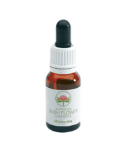 Hibbertia Gocce 15ml-1