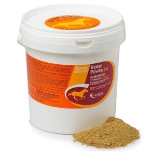 Candioli Horse Power 100 prodotto vitaminico per cavalli da corsa 4kg-2