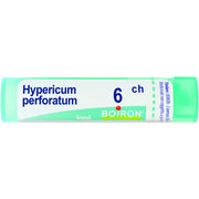 Boiron Hypericum Perforatum Granuli 06Ch Tubo 4g-1