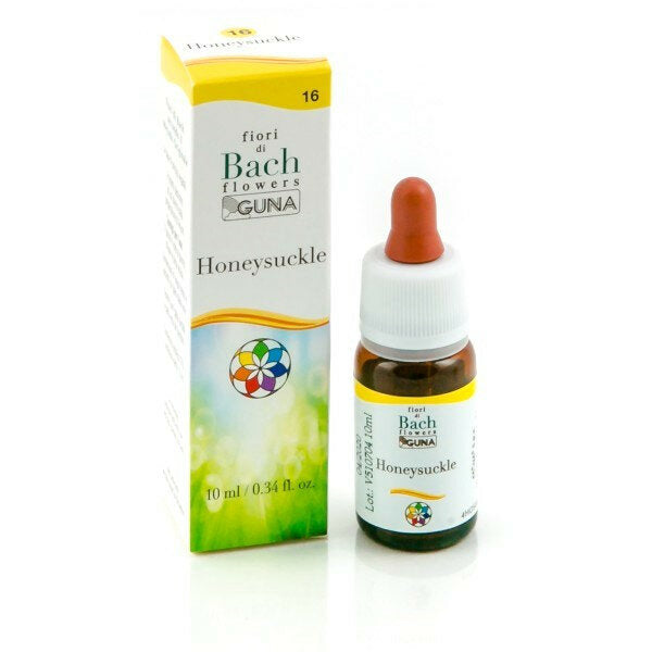 Guna Fiori di Bach Honeysuckle - Interesse nel presente N°16-2
