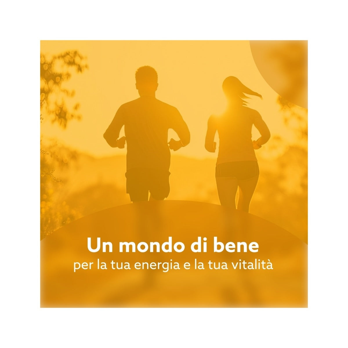 Amicafarmacia Metabolismo Integratore 30 Capsule-6