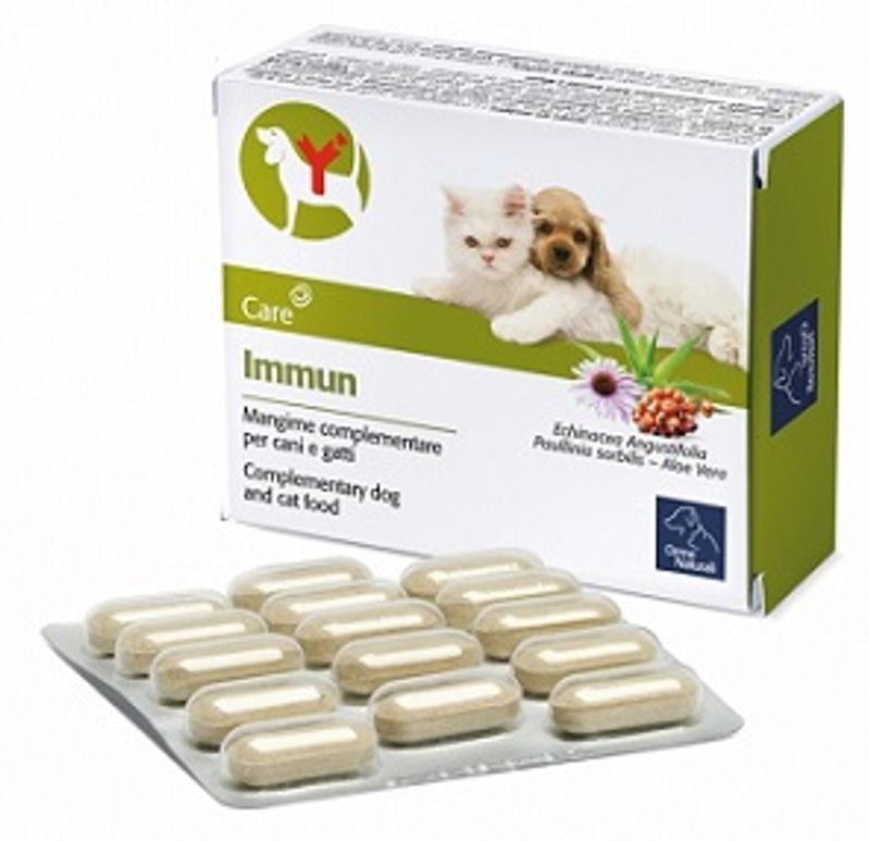 IMMUN 60CPR-1