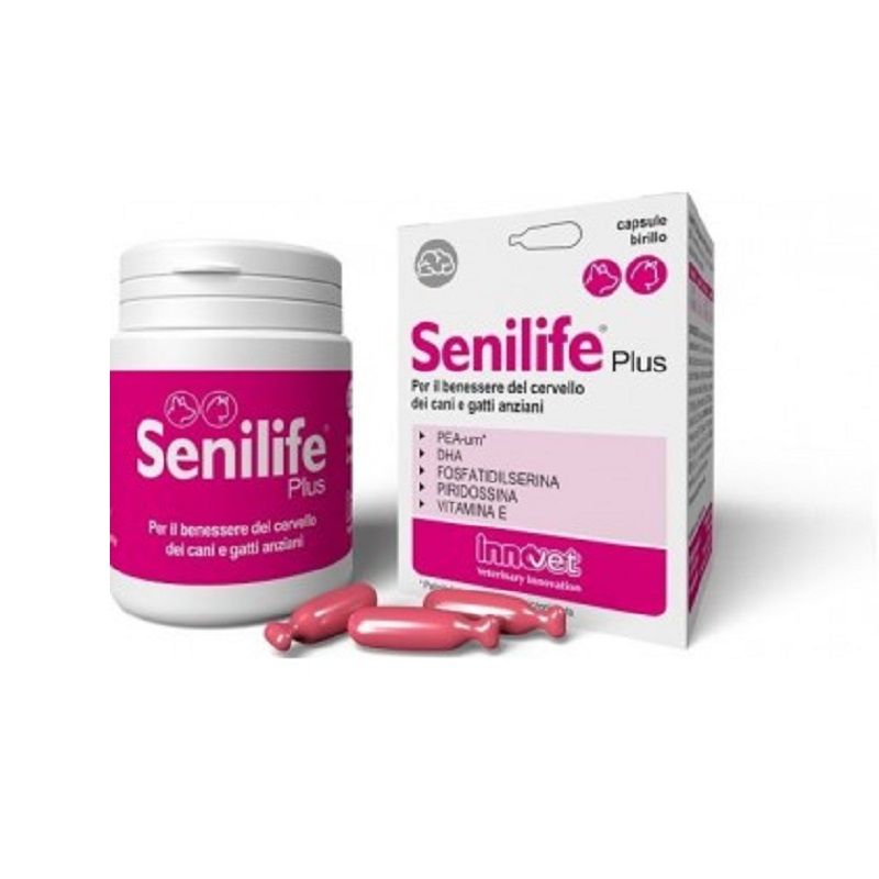 Innovet Senilife Plus per il benessere del cervello dei cani e gatti anziani 60 capsule-1