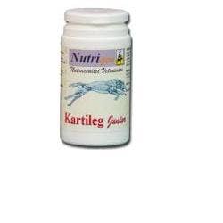 Kartileg Junior Cane E Gatto 30 Tavolette-1