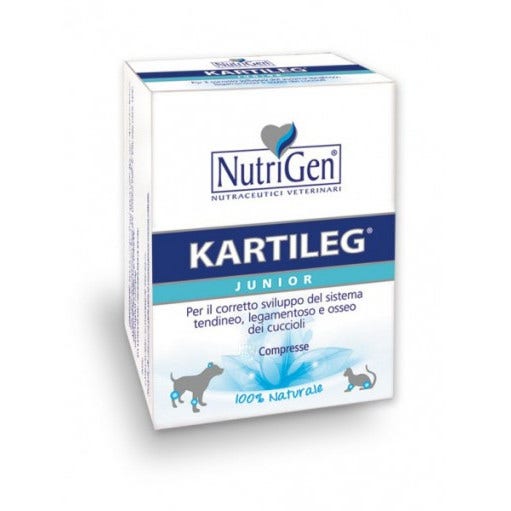 Kartileg Junior 60 Tavolette-1