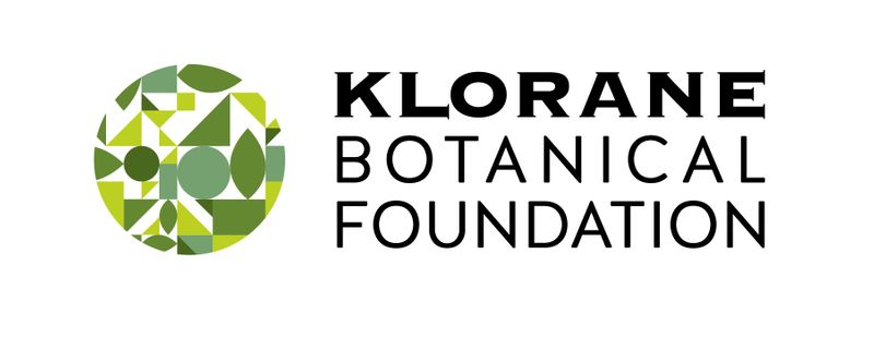 Klorane Gel doccia nutritivo al burro di Cupuacu BIO Profumazione SCORZA DI CEDRO 200ml-2