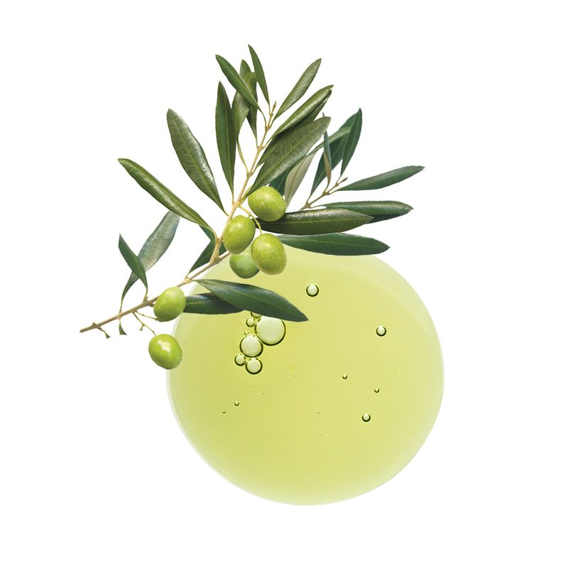 Klorane Shampoo all'ulivo BIO capelli deboli e assottigliati 400ml-2