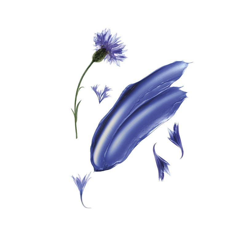 Klorane Shampoo alla Centaurea BIO anti-ingiallimento 200ml-2