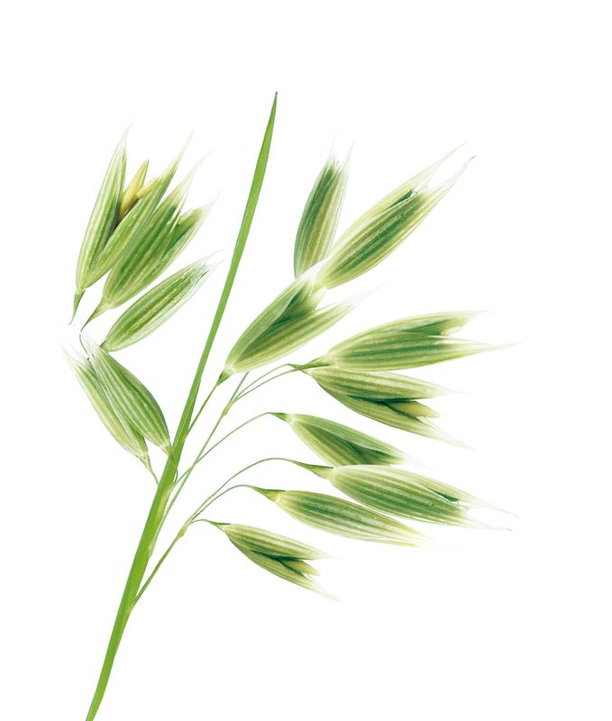Klorane Shampoo al latte di Avena BIO Extra delicato tutti i tipi di capelli 200ml-4