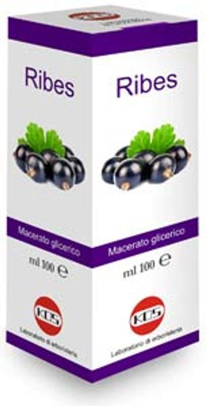 Kos Ribes Nigrum Macerato glicerico Gocce integratore alimentare 100ml-1