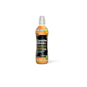 Named Sport L-Carnitine Fit Drink Lime/Limone 500ml-1