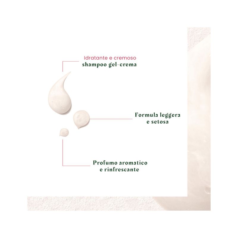 Rene Furterer Neopur Shampoo Antiforfora Secca 150ml-4