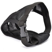 Camon Mutandina Igienica Click E Clean Taglia 2-1