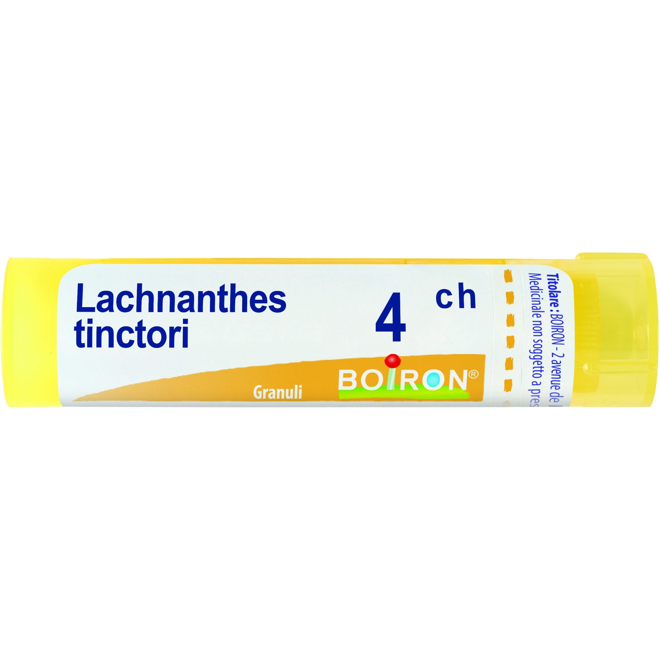 Boiron Lachnanthes Tinctoria 04Ch Tubo 80 Granuli-1