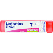 Boiron Lachnanthes Tinctoria 7Ch Tubo 80 Granuli-1