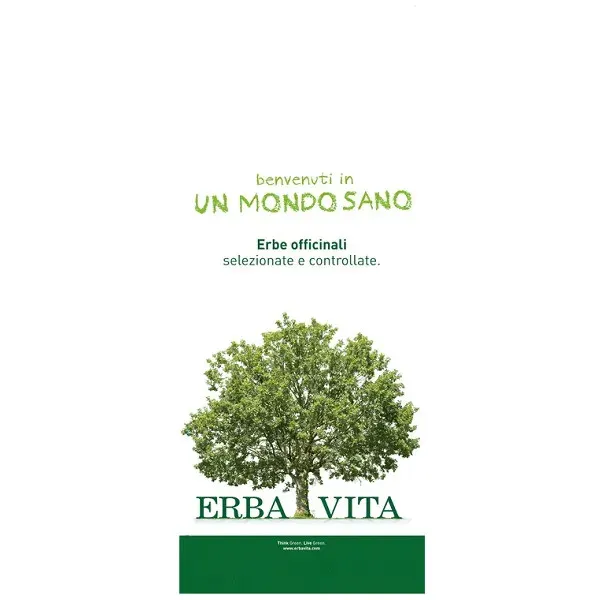 Erba Vita Licopodio Taglio Tisana Pianta 100g-1