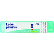 Boiron Ledum Palustre Granuli 06Dh Tubo 4g-1