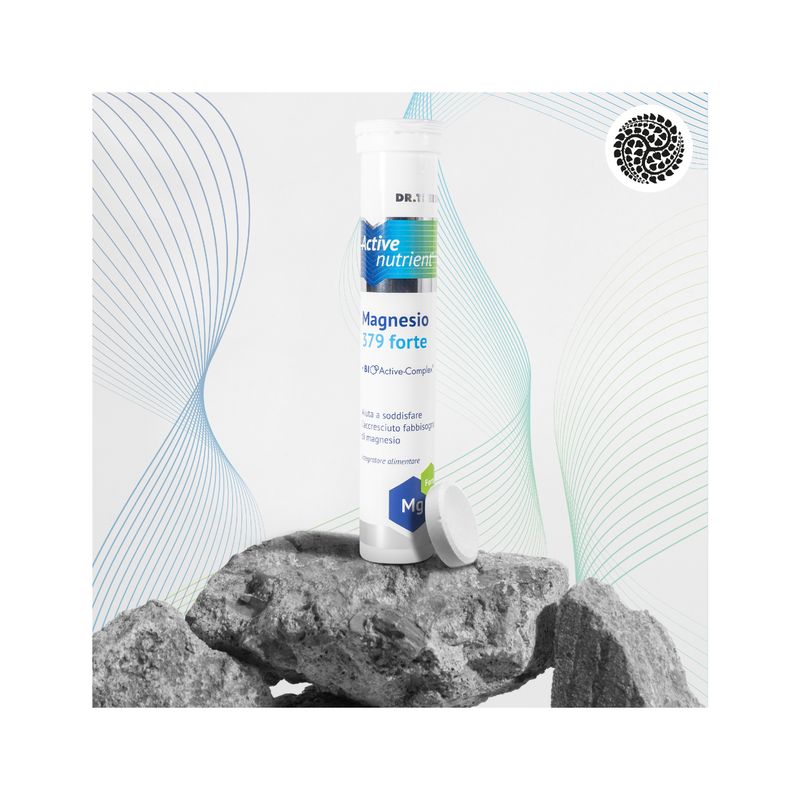Dr. Theiss Active Nutrient Magnesio 379 Forte Integratore alimentare Gusto limone 20 Compresse-4