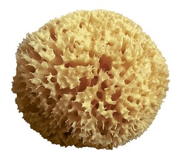 Mood Spugna Naturale Arcipelago n.10 del Mar Mediterraneo 1 pezzo-1