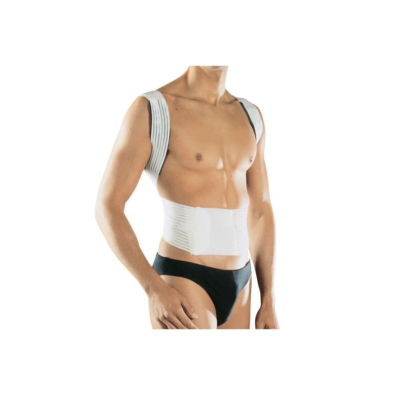 Pavis New Edge 576 Raddrizzaspalle Taglia L-1