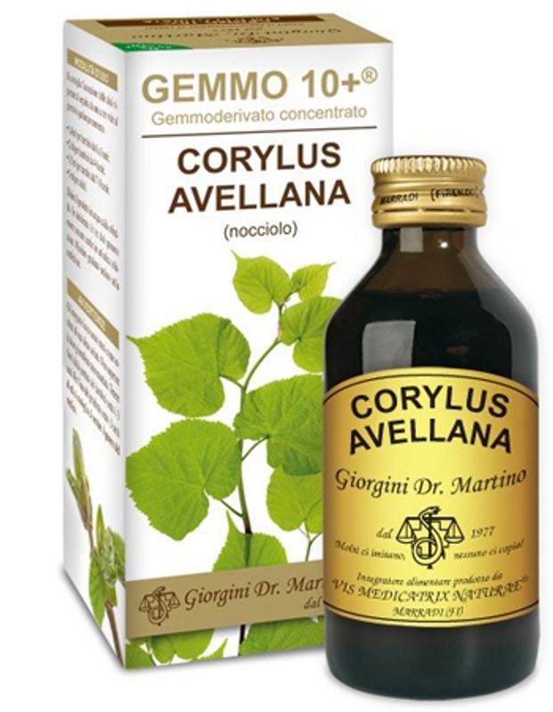 Gemmo 10+ Nocciolo 100ml Liquido Analcolico-1