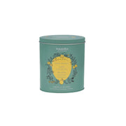 Neavita Lezioni Di Tè Oval Tin Tè Verde Tisana Limone Zenzero Filtroscrigno 12x3g-1