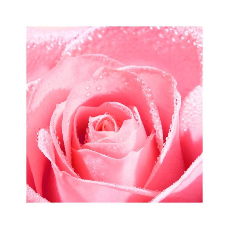 Nuxe Very Rose Crema Mani 50ml-2