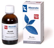 Olivo Tintura Madre Bio 50ml-1