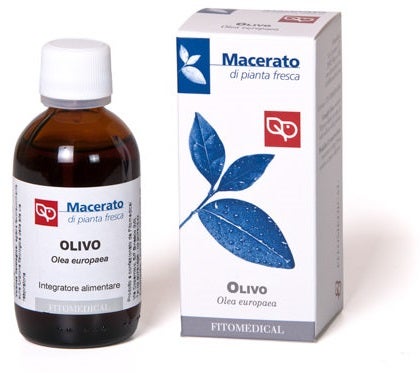 Olivo Tintura Madre Bio 50ml-1