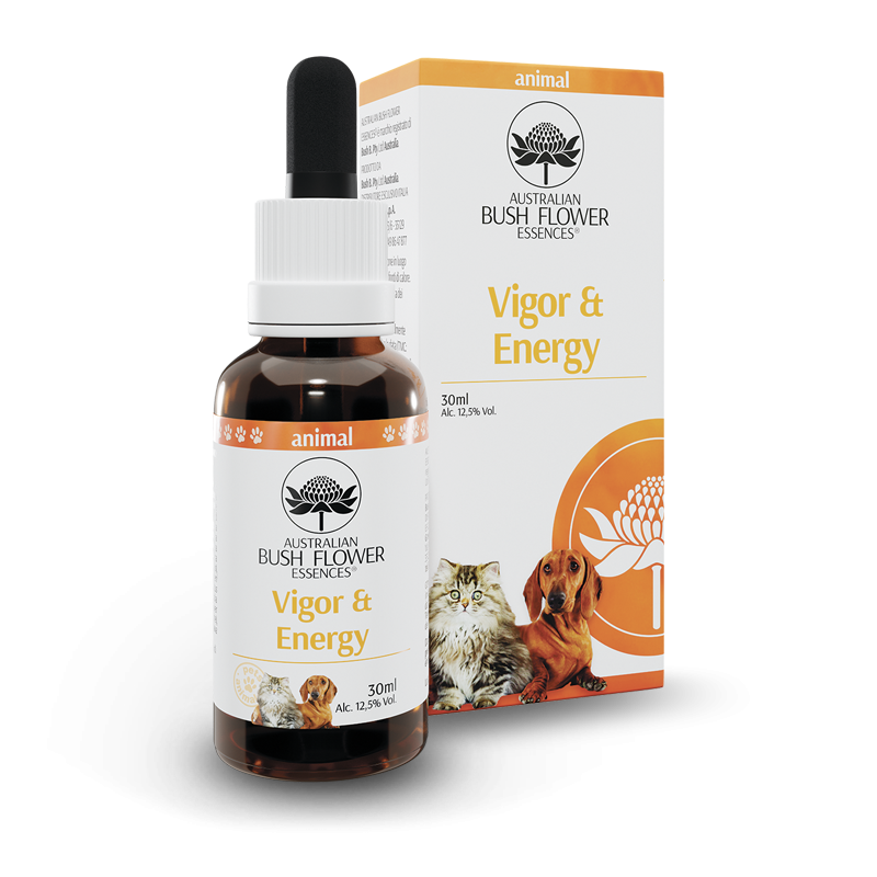 Australian Bush Flower Essences Vigor&Energy 30ml-1
