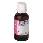 Cemon Chelidonium Majus medicinale omeopatico tintura madre 30ml-1