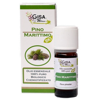 Pino Marittimo Bio 10ml-1