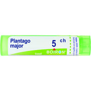 Boiron Plantago Major Granuli 05Ch Tubo 4g-1