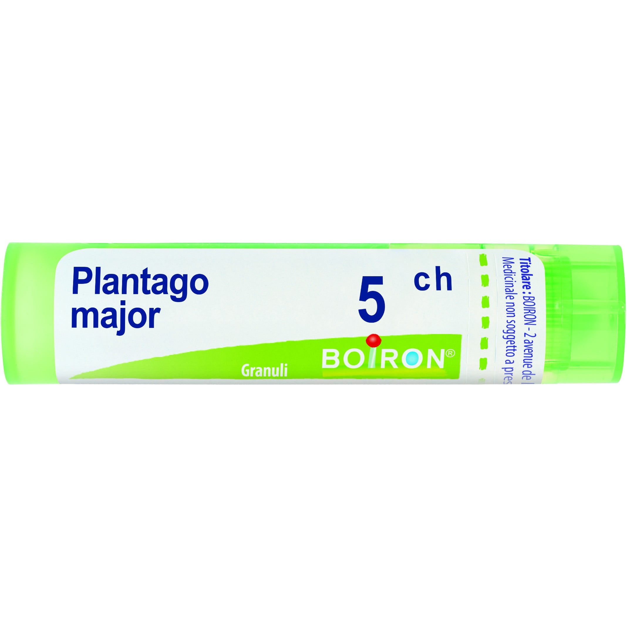 Boiron Plantago Major Granuli 05Ch Tubo 4g-1