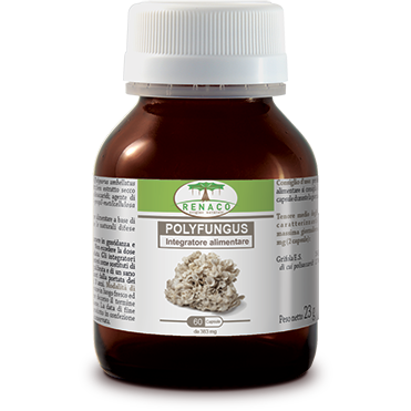 Polyfungus 60 Capsule-1