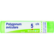 Boiron Polygonum Aviculare Granuli 05Ch Tubo 4g-1