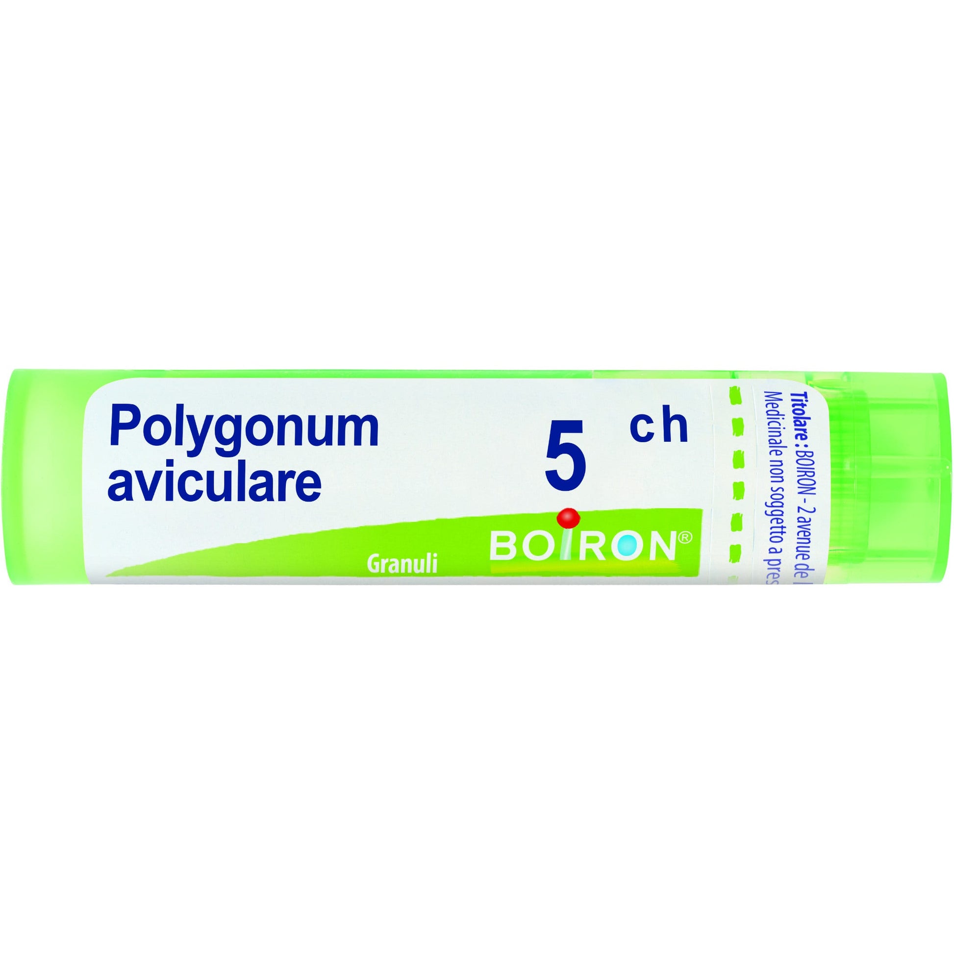 Boiron Polygonum Aviculare Granuli 05Ch Tubo 4g-1