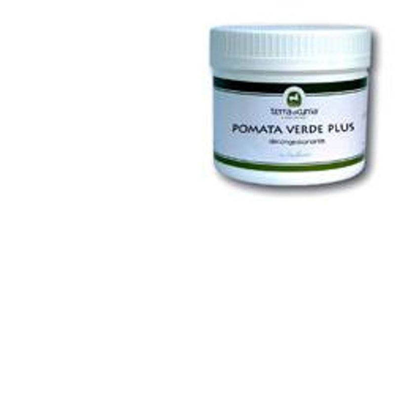 Pomata Verde Plus 500g-1