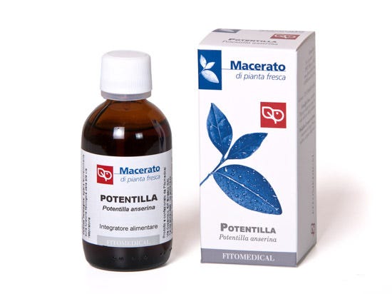 Potentilla Tintura Madre 50ml-1