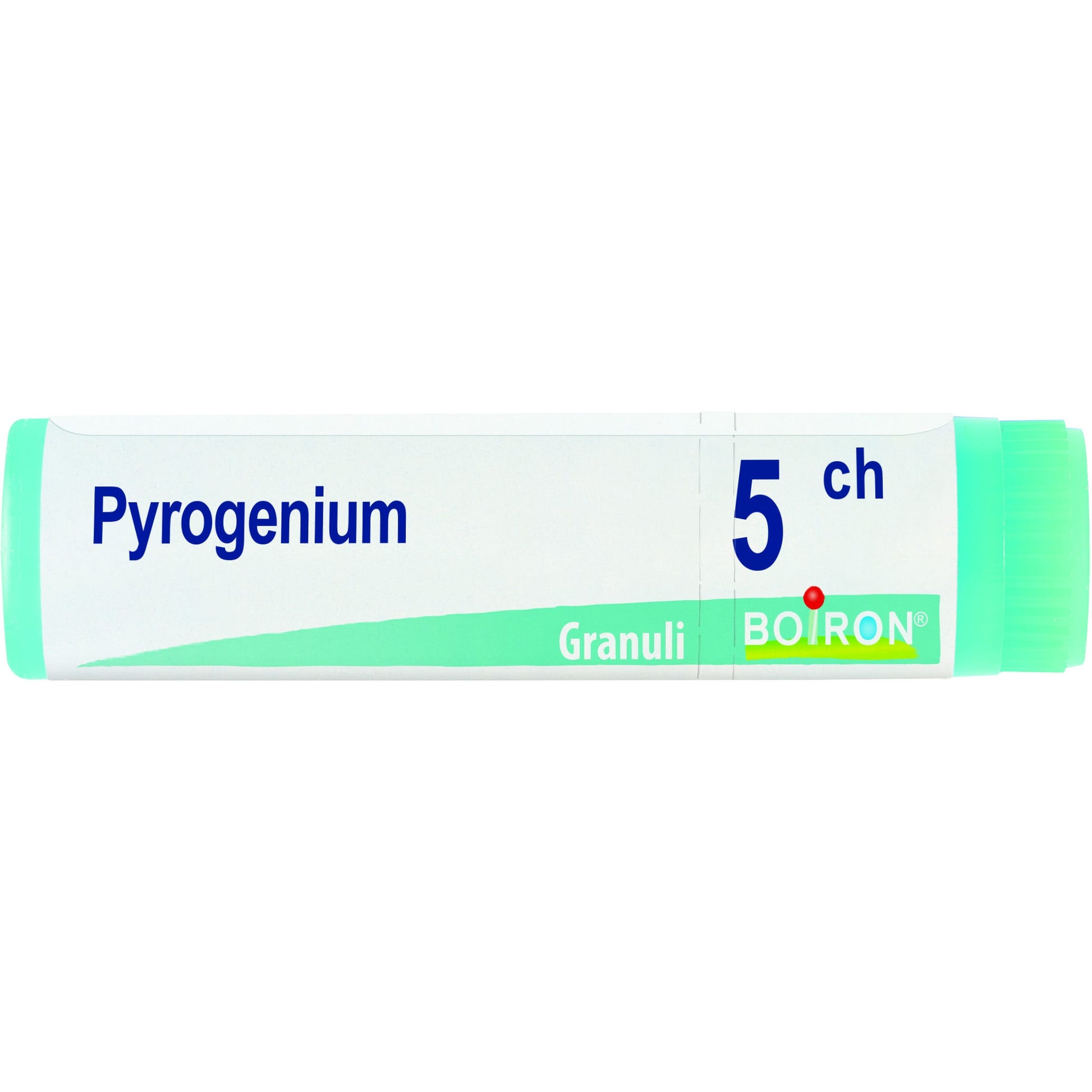 Boiron Pyrogenium Globuli 05Ch Dose 1g-1