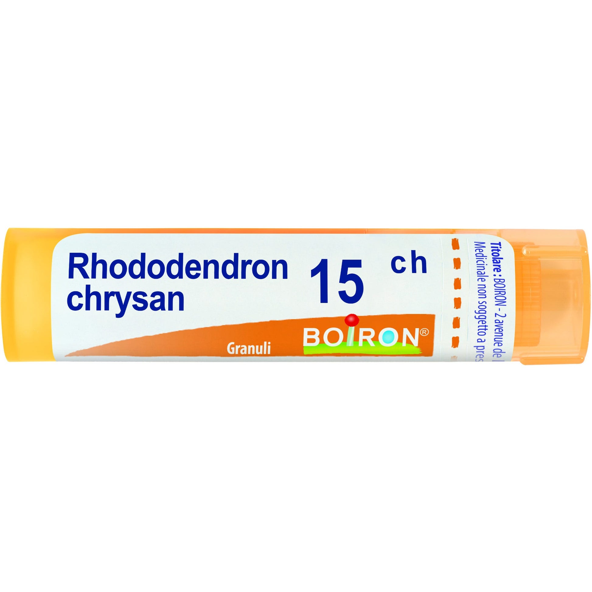 Boiron Rhododendron Chrysan Granuli 15Ch Tubo 4g-1