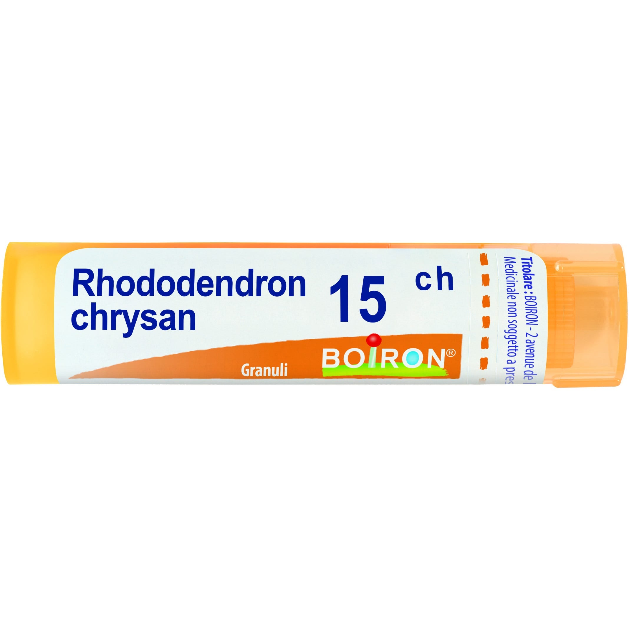 Boiron Rhododendron Chrysan Granuli 15Ch Tubo 4g-1