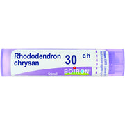 Boiron Rhododendron Chrysan Granuli 30Ch Tubo 4g-1