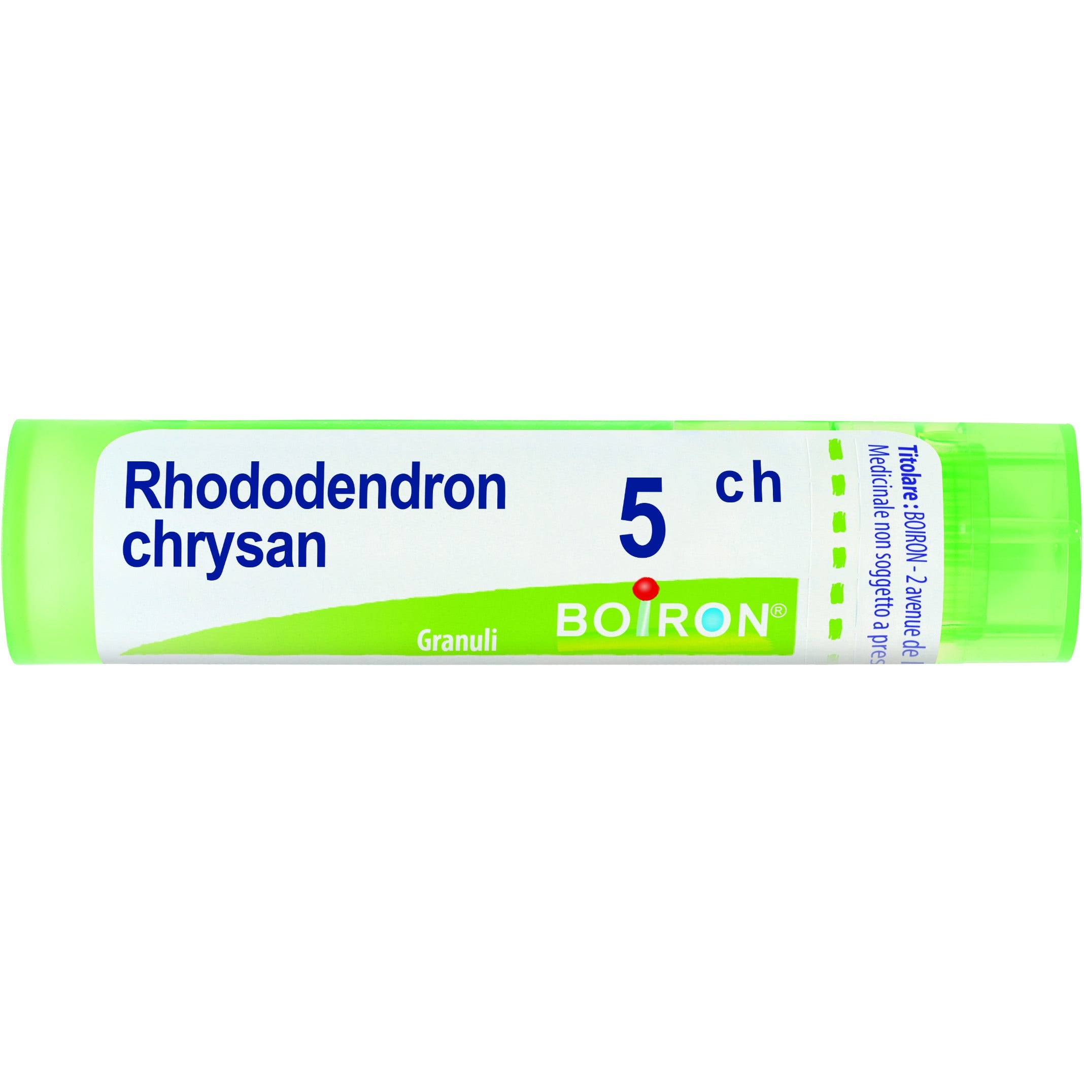 Boiron Rhododendron Chrysan Granuli 05Ch Tubo 4g-1