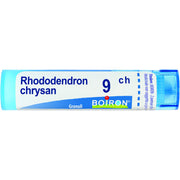 Boiron Rhododendron Chrysan Granuli 09Ch Tubo 4g-1
